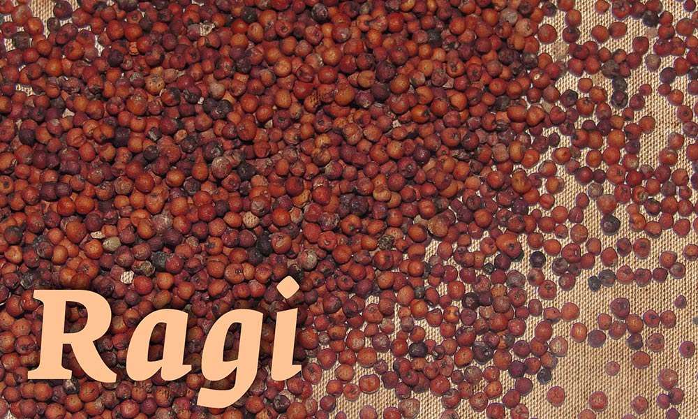 Ragi (Finger Millet): 7 Incredible Health Benefits &amp; 6 Healthy Recipes