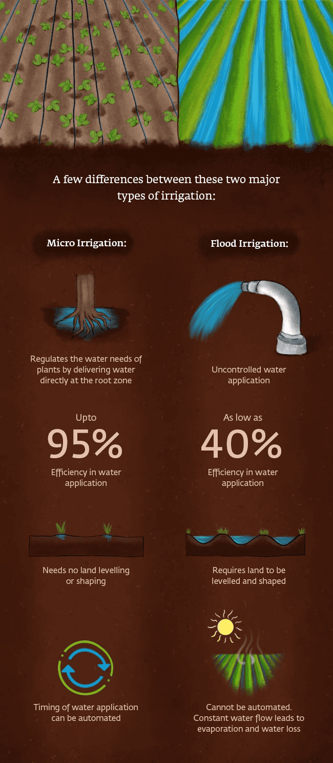 How Are Flood Irrigation and Micro-Irrigation Different?