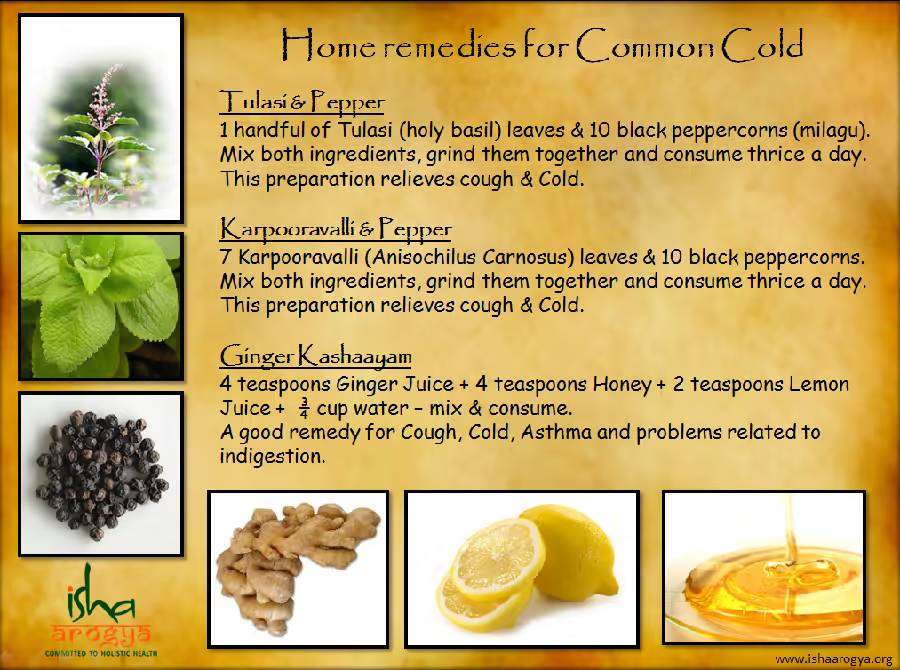 Home remedies for the cold infographic